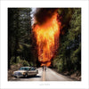 LADYTRON (Ltd.DX.Ed.Clear Smoke UK Import)(LadytronMusic2019)