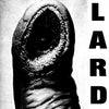 LARD: POWER OF LARD (Reissue)(AlternativeTentacle2025)