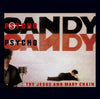THE JESUS & MARY CHAIN: PSYCHOCANDY (Ltd.Ed.Gold Reissue)(ThirdMan2025)