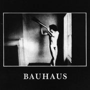 BAUHAUS: IN THE FLAT FIELD (Remastered Re-Issue)(4AD2013)