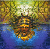 SHPONGLE: NOTHING LASTS...BUT NOTHING IS LOST (2LP Canadian Import)(Twist2022)*